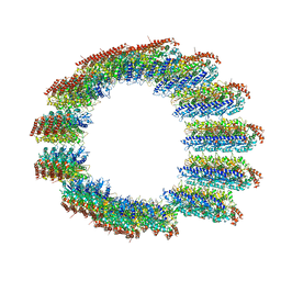 BU of 8c5c by Molmil