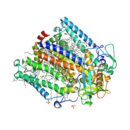 BU of 8c5x by Molmil