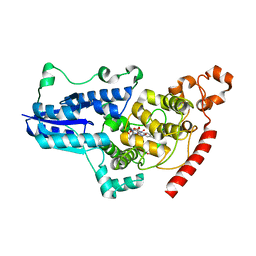 BU of 8c6b by Molmil