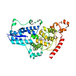 BU of 8c6h by Molmil