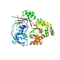 BU of 8c6w by Molmil