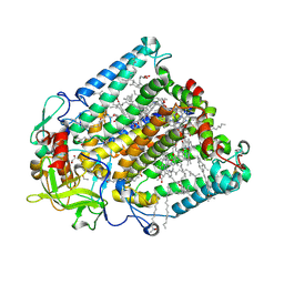 BU of 8c7c by Molmil