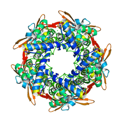BU of 8c7e by Molmil