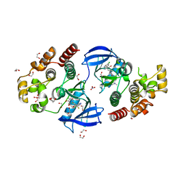 BU of 8c7y by Molmil