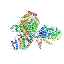 BU of 8c81 by Molmil