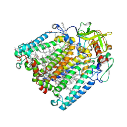 BU of 8c88 by Molmil