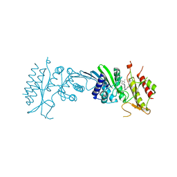 BU of 8c8c by Molmil