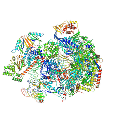 BU of 8c8h by Molmil