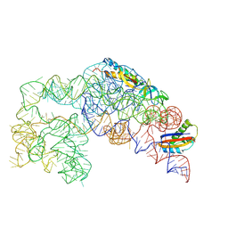 BU of 8c9c by Molmil