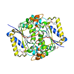 BU of 8c9j by Molmil