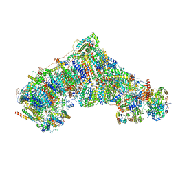 BU of 8ca3 by Molmil