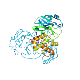 BU of 8ca8 by Molmil