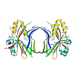 BU of 8caa by Molmil