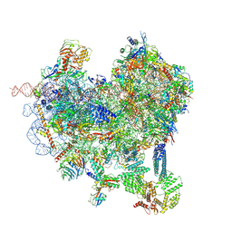 BU of 8cas by Molmil