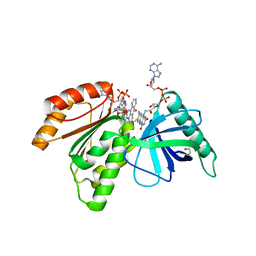 BU of 8cb0 by Molmil