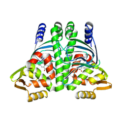 BU of 8cb4 by Molmil