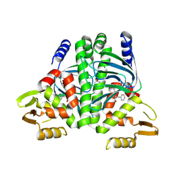 BU of 8cb5 by Molmil