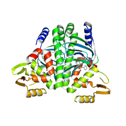 AU of 8cb5 by Molmil