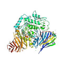 BU of 8cb6 by Molmil