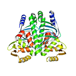 BU of 8cb7 by Molmil