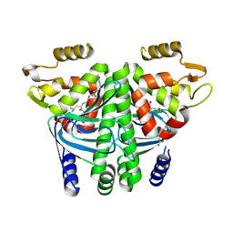 BU of 8cbg by Molmil