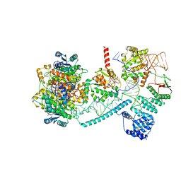 BU of 8cbk by Molmil