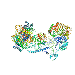 BU of 8cbl by Molmil