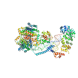 BU of 8cbm by Molmil