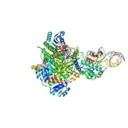 BU of 8cbo by Molmil