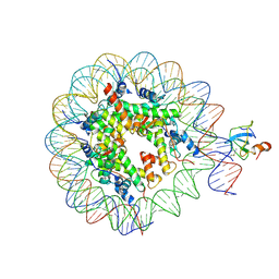 BU of 8cbq by Molmil