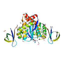 BU of 8cbs by Molmil