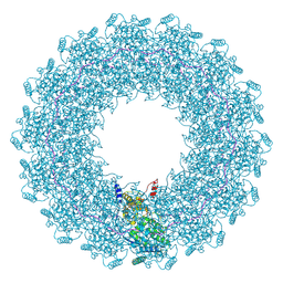 BU of 8cbw by Molmil