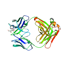 BU of 8cc1 by Molmil