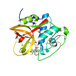 BU of 8cc2 by Molmil