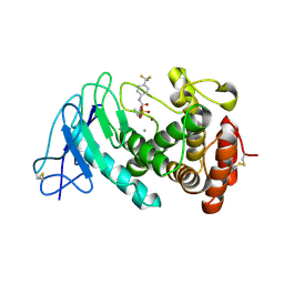 BU of 8cc4 by Molmil