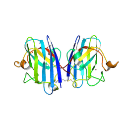 BU of 8ccx by Molmil