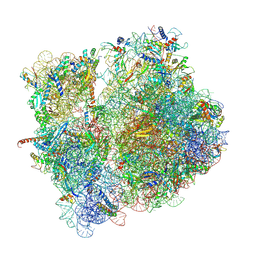 BU of 8cd1 by Molmil