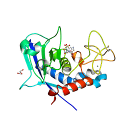 BU of 8cd8 by Molmil