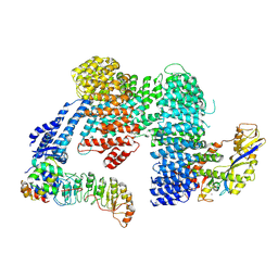 BU of 8cdk by Molmil