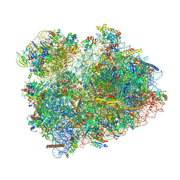 BU of 8cdl by Molmil