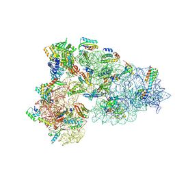 BU of 8ced by Molmil