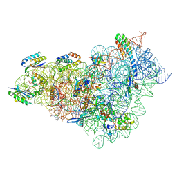 BU of 8cep by Molmil