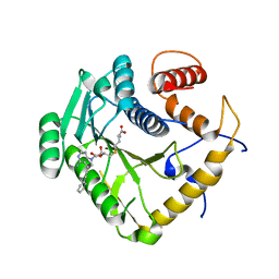 BU of 8ceq by Molmil