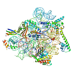 BU of 8cf1 by Molmil