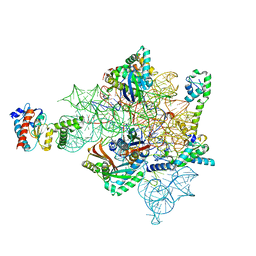 BU of 8cf8 by Molmil