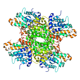 BU of 8cfd by Molmil