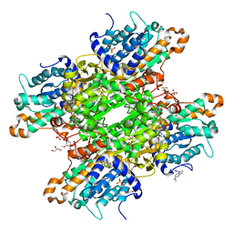 BU of 8cfg by Molmil