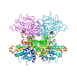 BU of 8cfn by Molmil