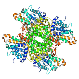 BU of 8cfq by Molmil