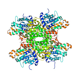 BU of 8cfr by Molmil